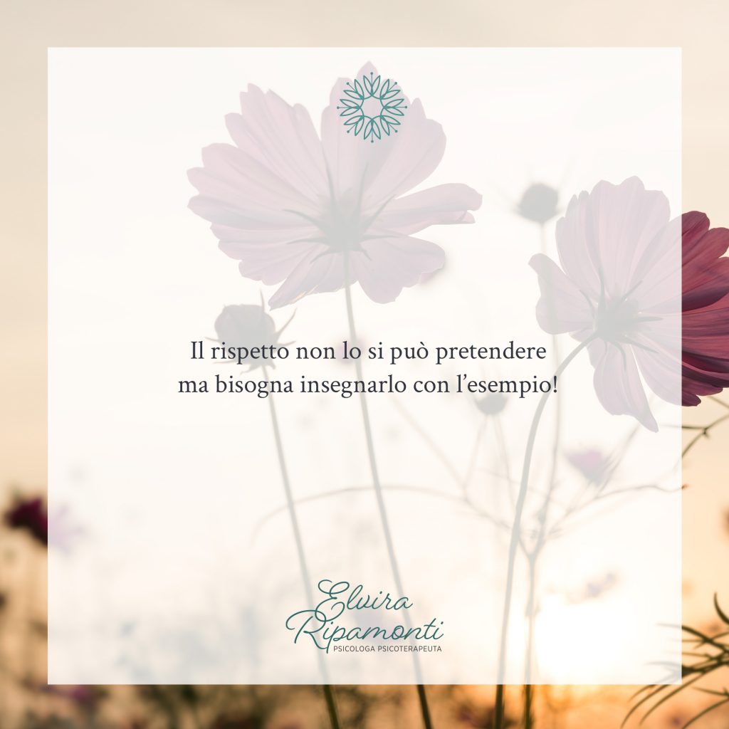 img il rispetto