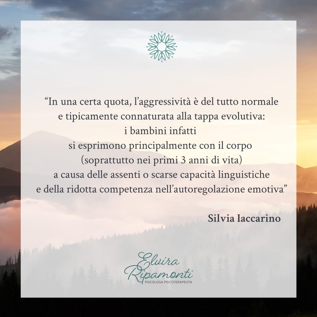 Il bambino è prepotente!