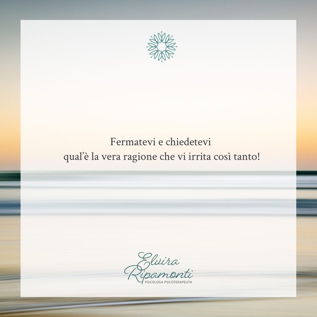 img disciplina dolce